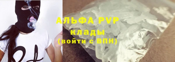 дмт Бикин