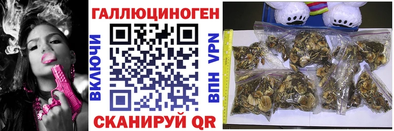 Псилоцибиновые грибы Magic Shrooms  Козловка 